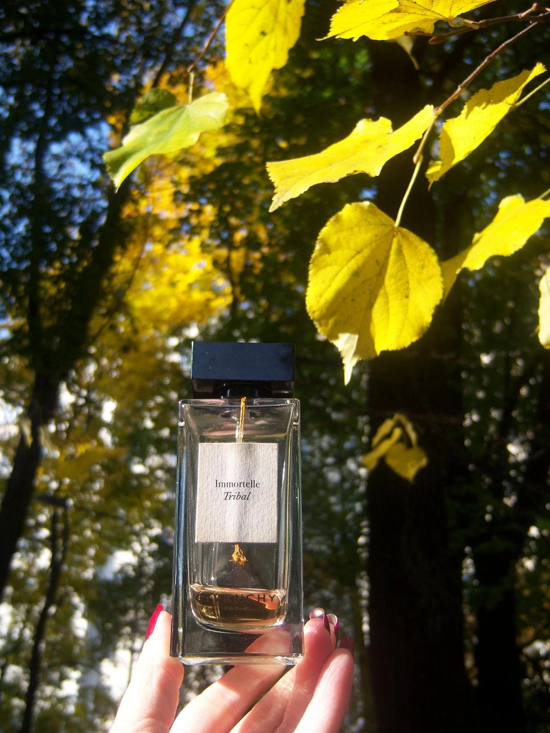 Givenchy Immortelle Tribal