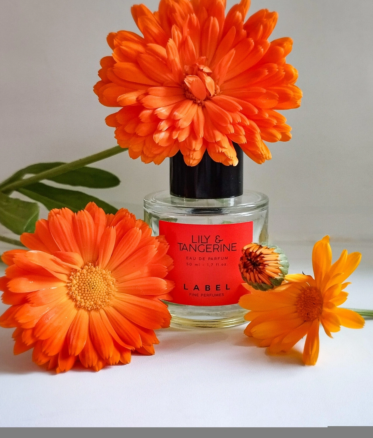 Label Lily & Tangerine