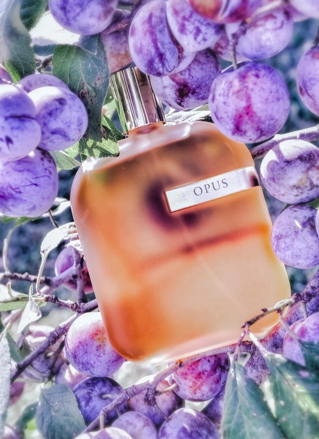 Amouage The Library Collection Opus I