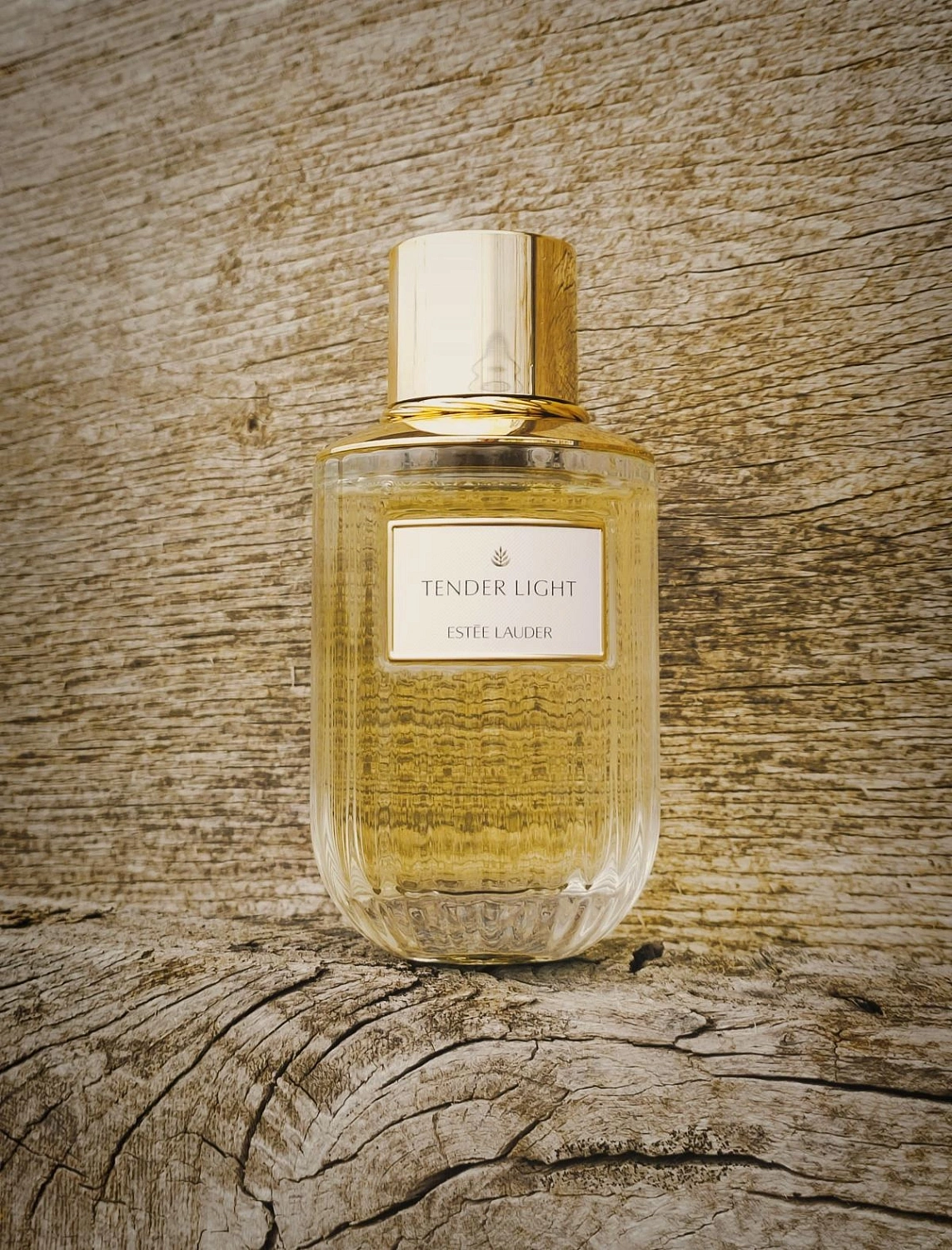 Estée Lauder Tender Light
