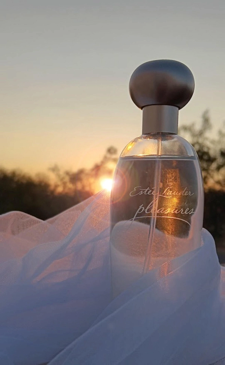 Estée Lauder Pleasures