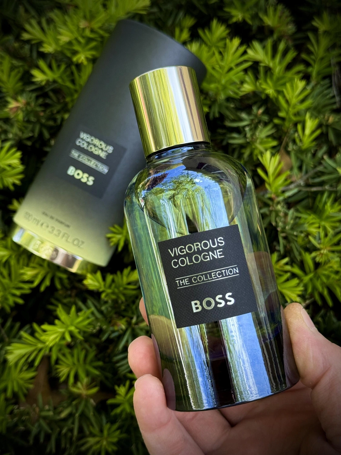 Hugo Boss The Collection Vigorous Cologne