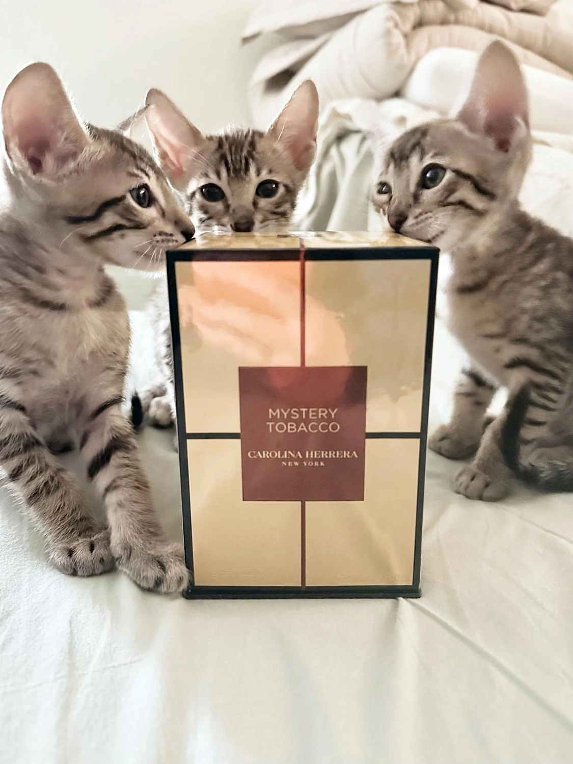 Carolina Herrera Mystery Tobacco