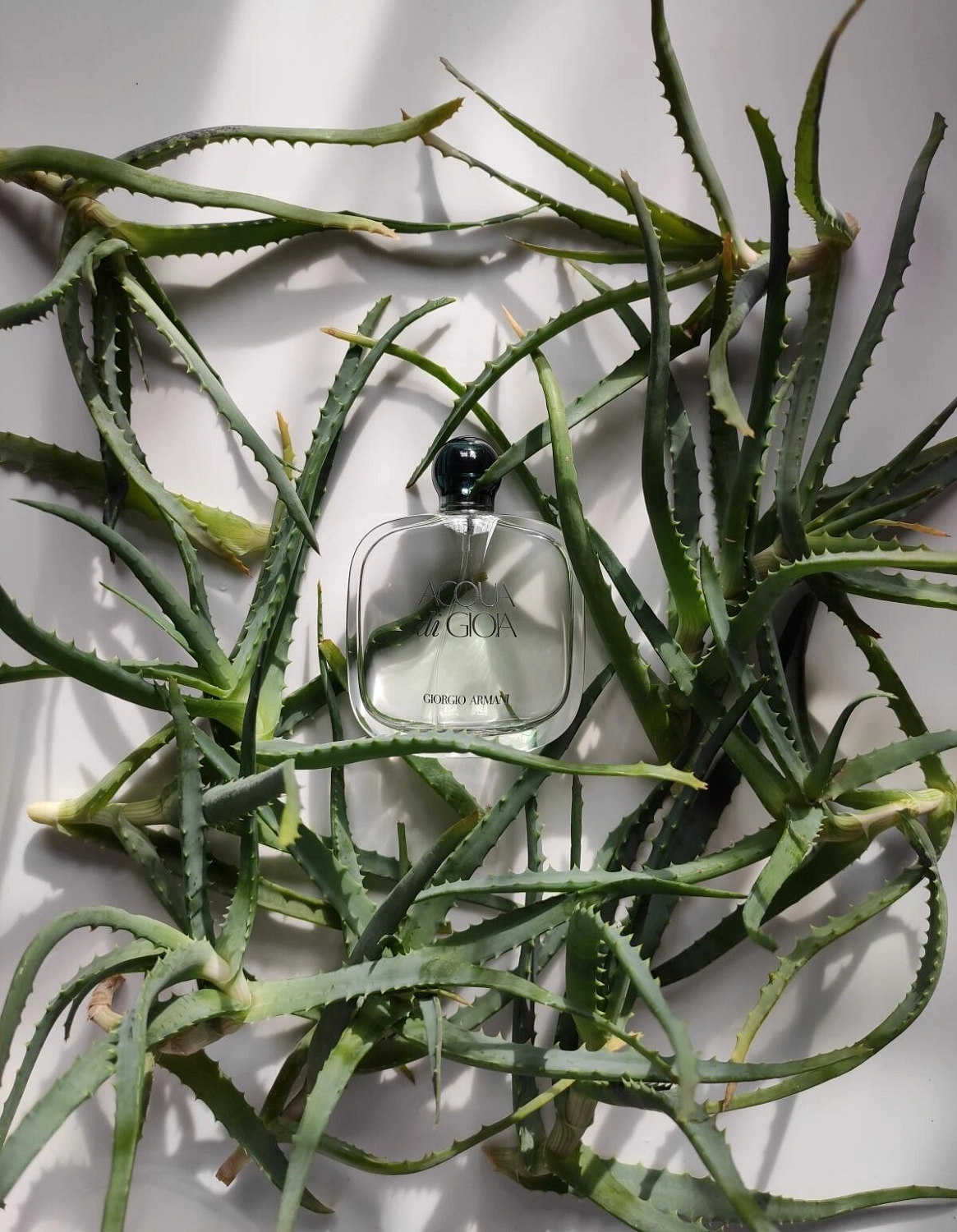 Armani Acqua Di Gioia Eau Fraiche