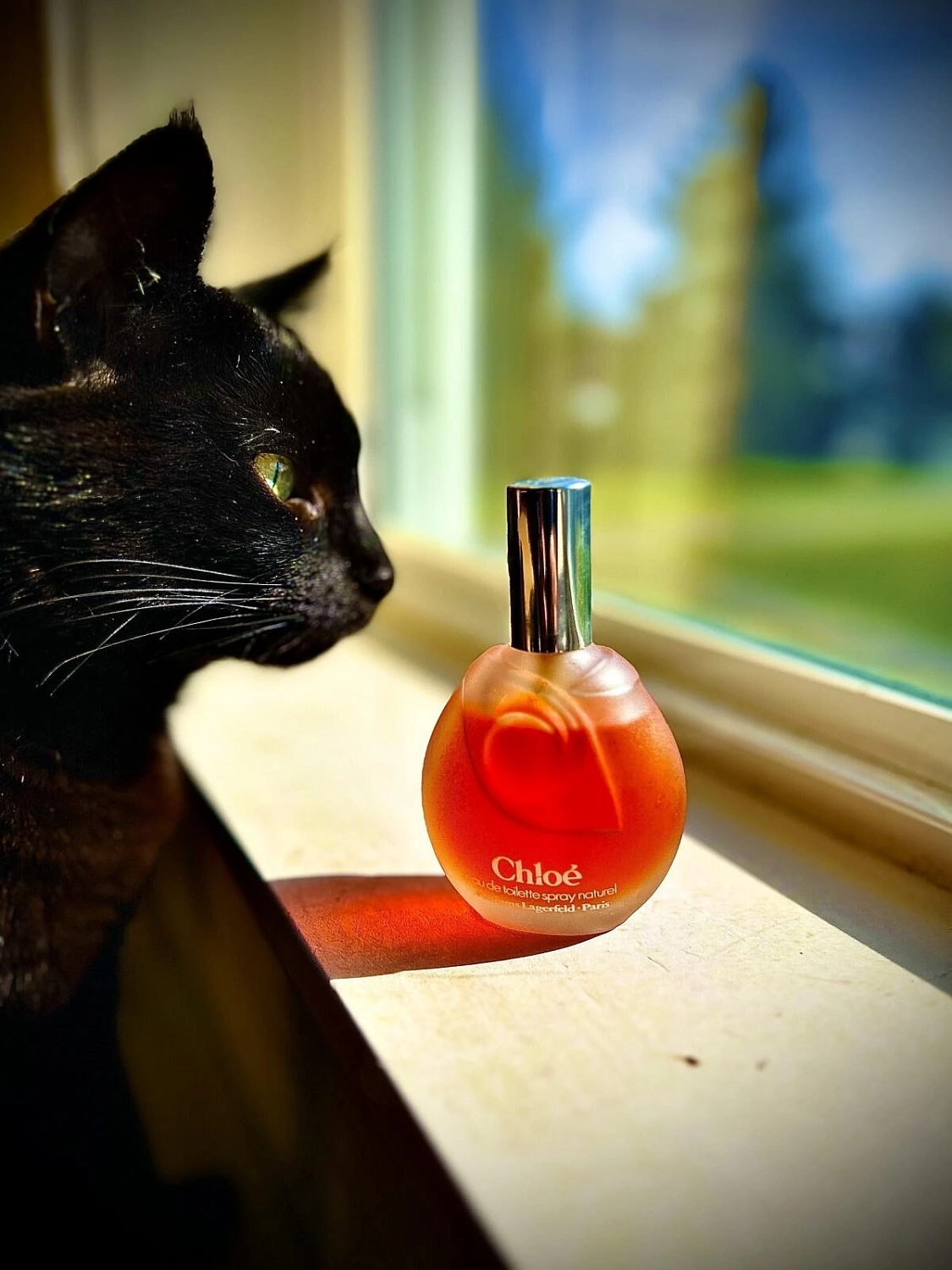 Chloé