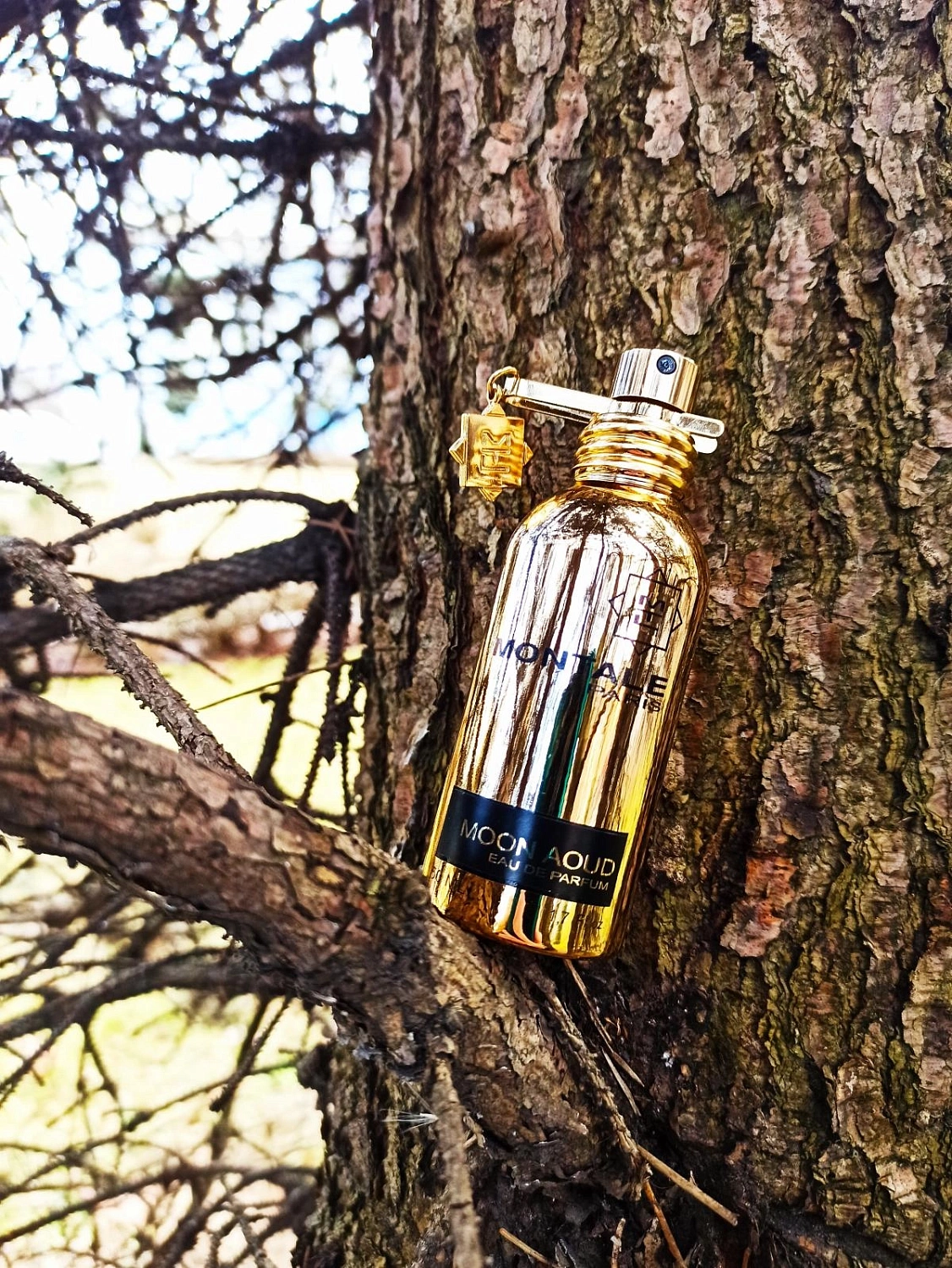 Montale Aoud Moon