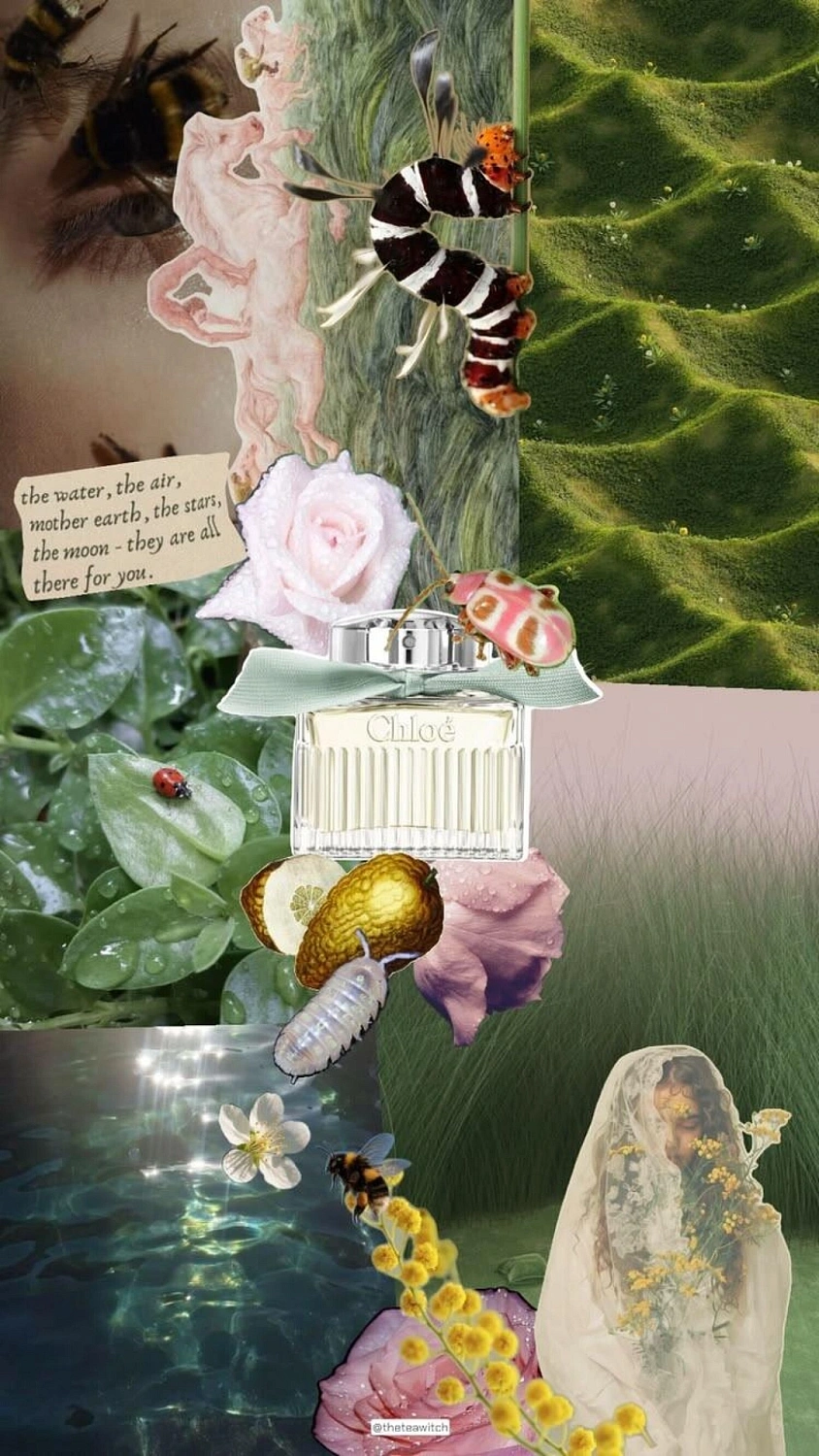 Chloé Rose Naturelle