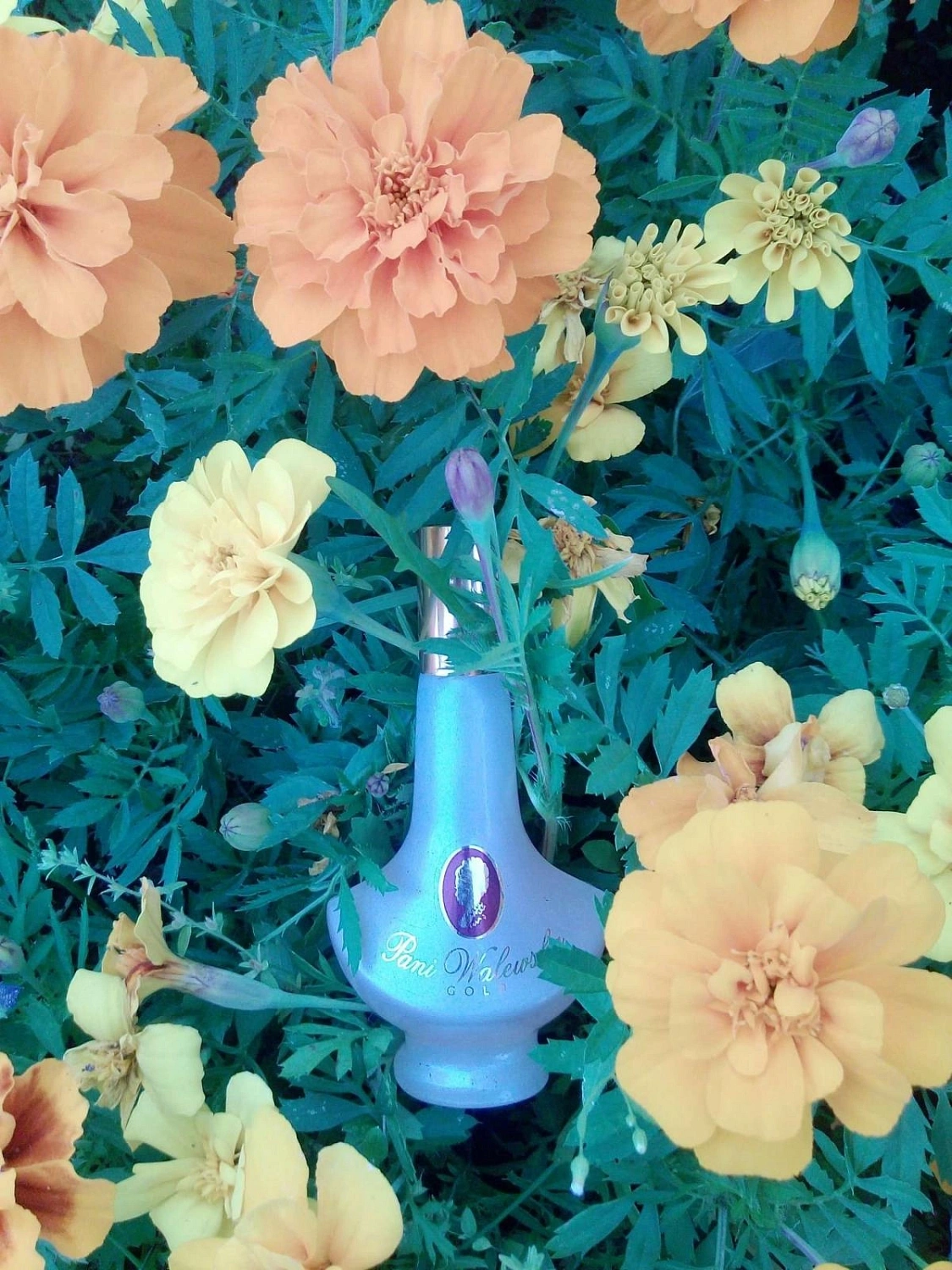 Pani Walewska Gold