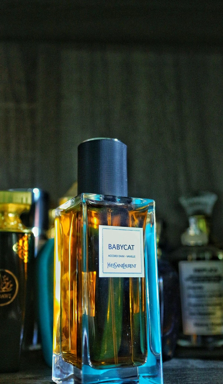 Yves Saint Laurent Babycat