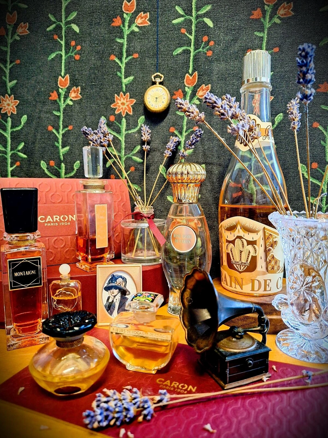 Caron Rose Ivoire