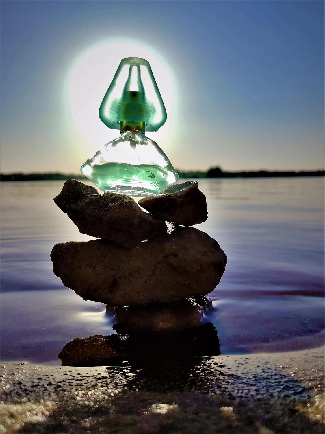 Salvador Dalí Laguna