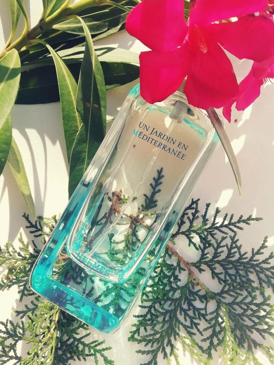 Hermès Un Jardin En Mediterranee
