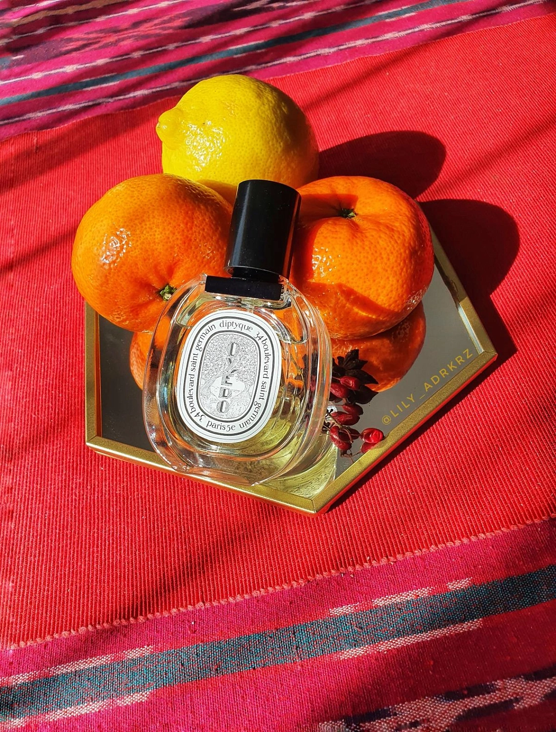Diptyque Oyedo