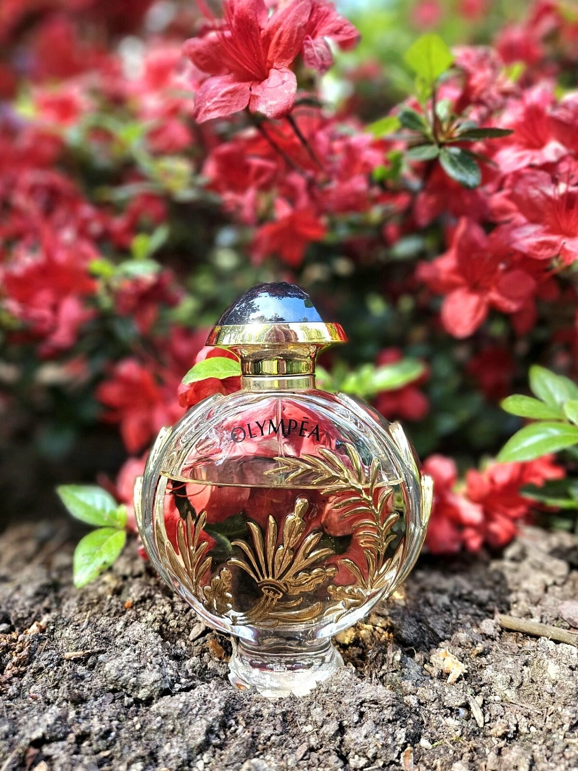 Paco Rabanne Olympea Solar