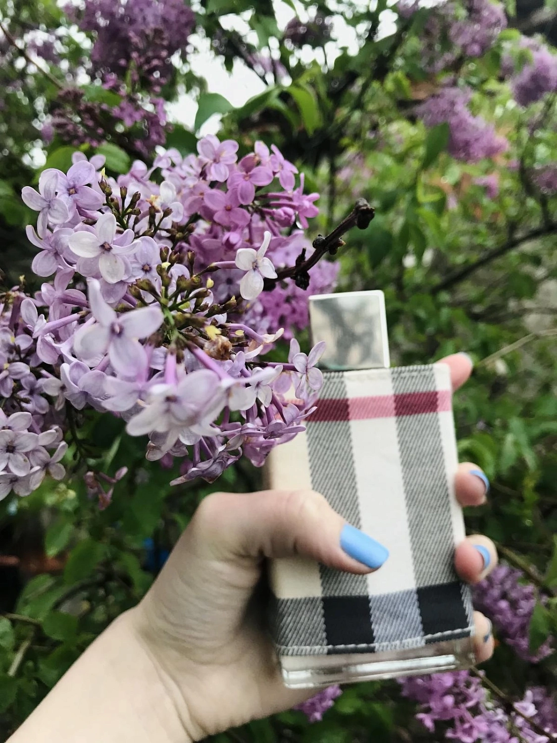 Burberry London Woman