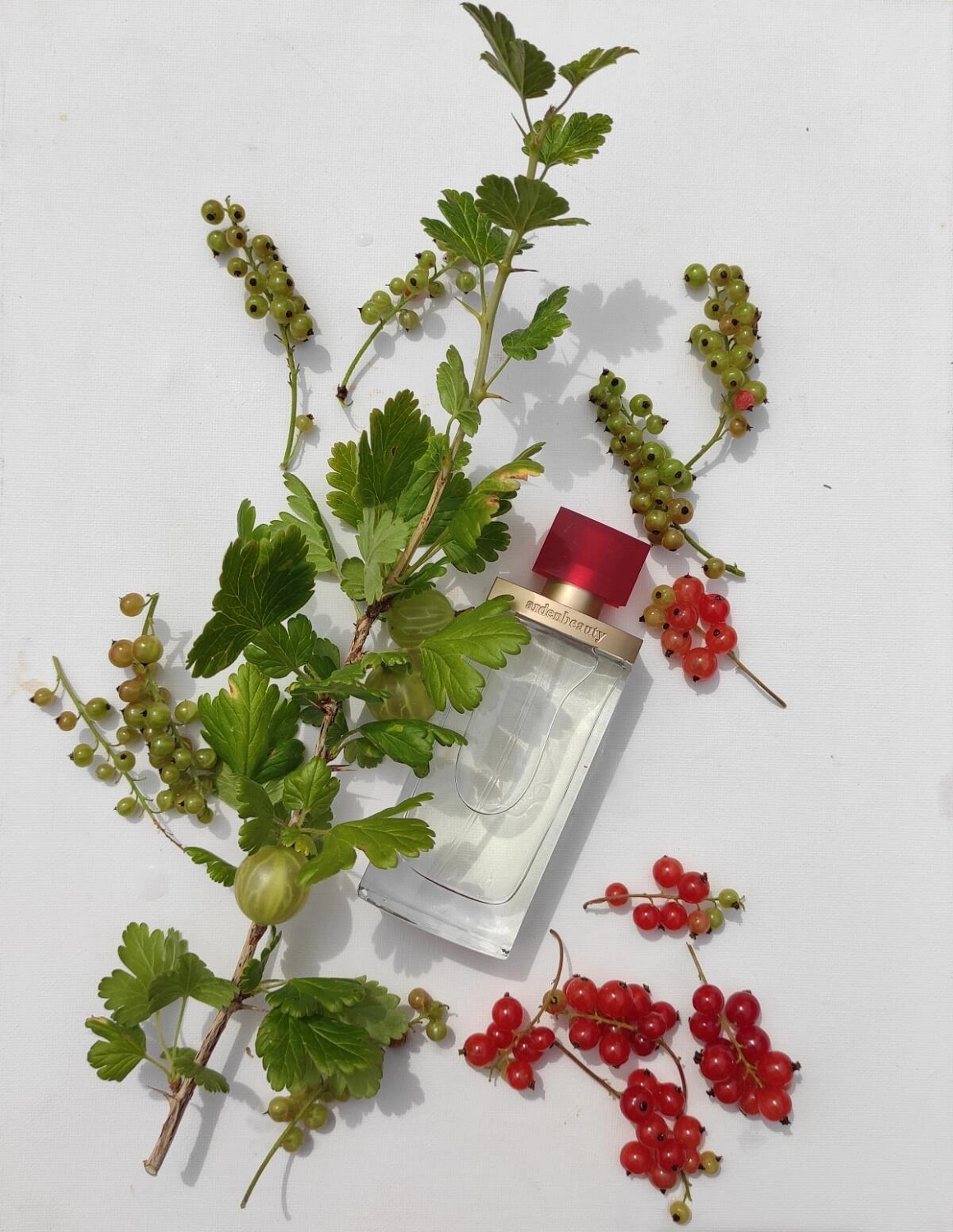 Elizabeth Arden Beauty
