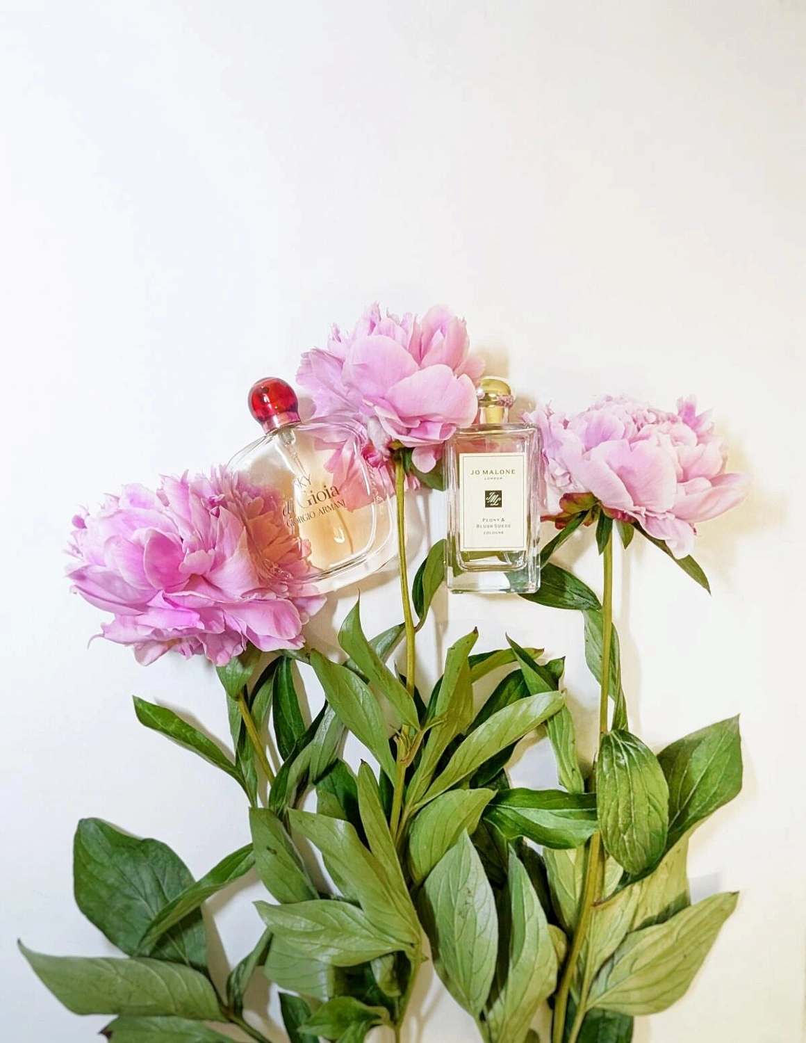 Armani Sky di Gioia
