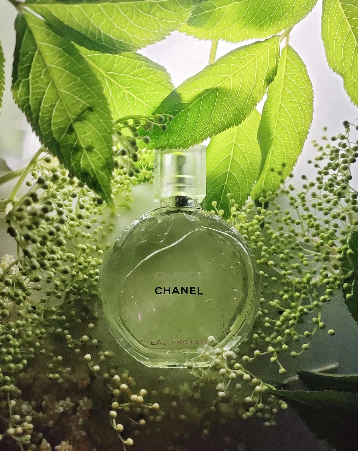 Chanel Chance Eau Fraiche