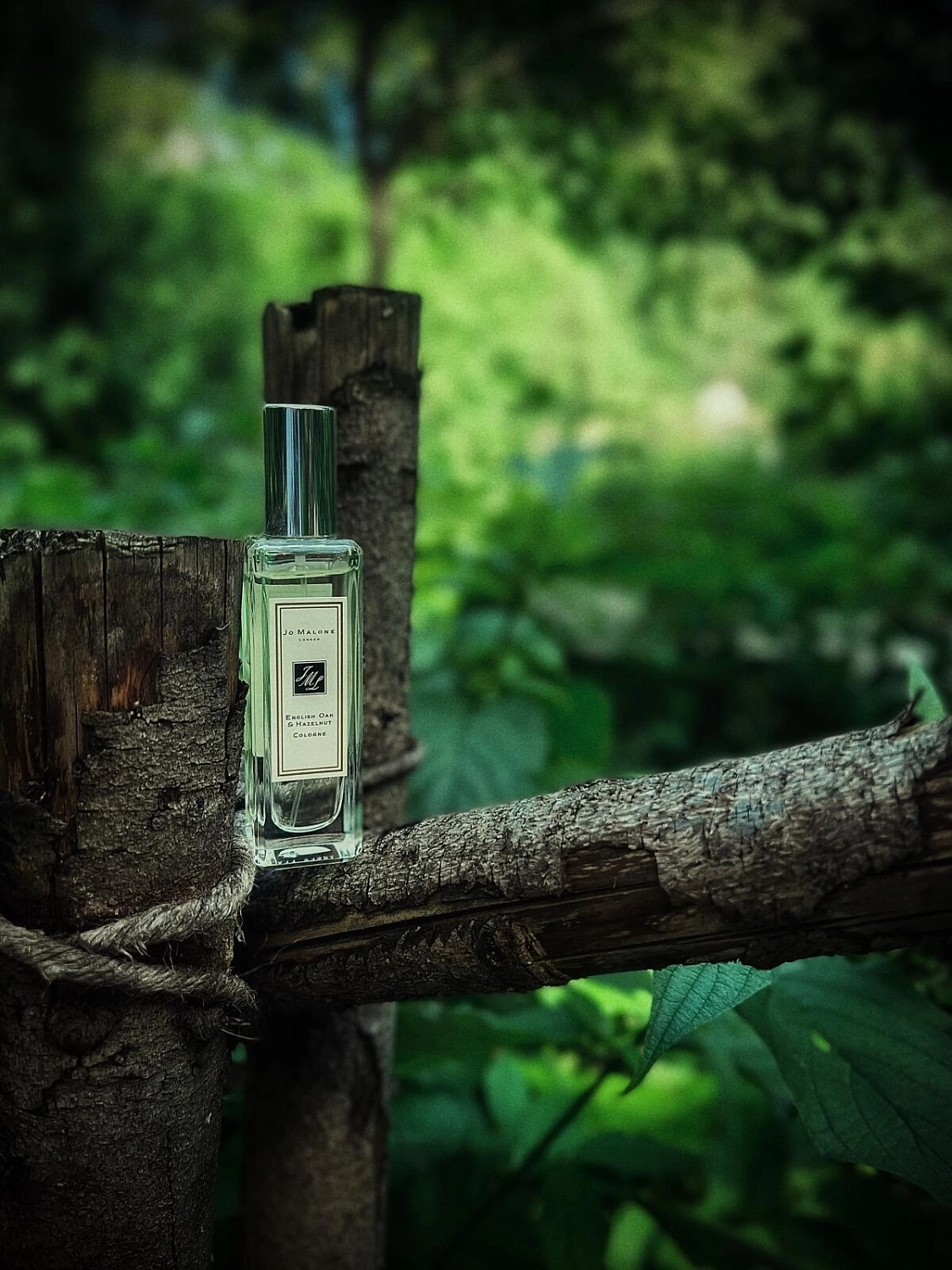 Jo Malone English Oak & Hazelnut