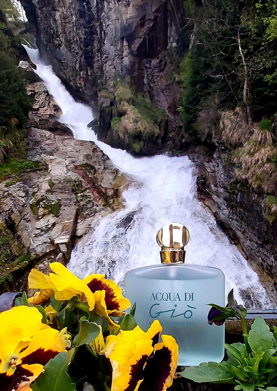 Armani Acqua di Gio