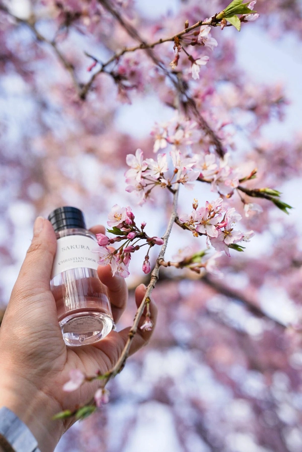 Christian Dior Sakura