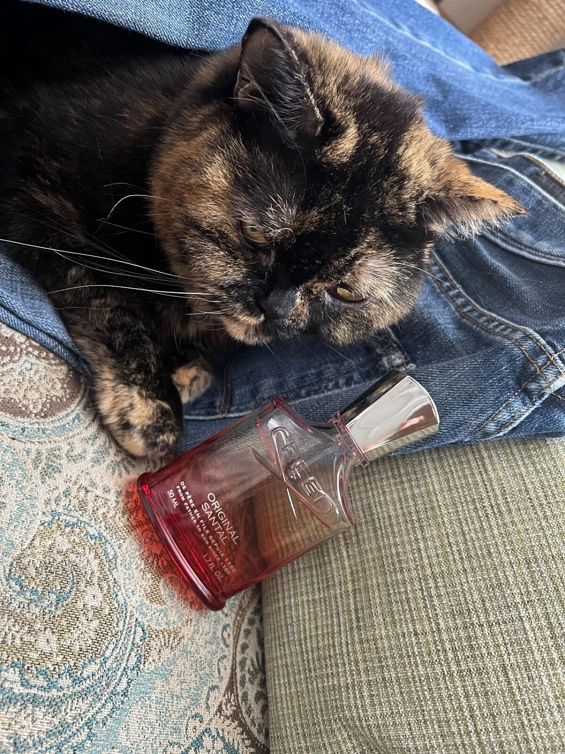 Creed Original Santal