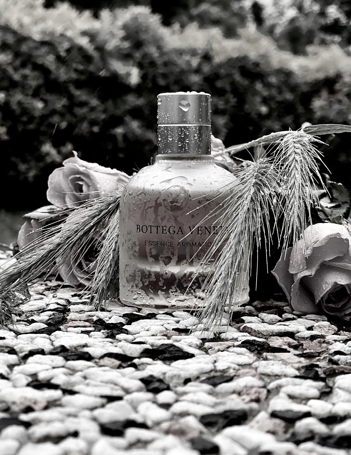 Bottega Veneta Essence Aromatique