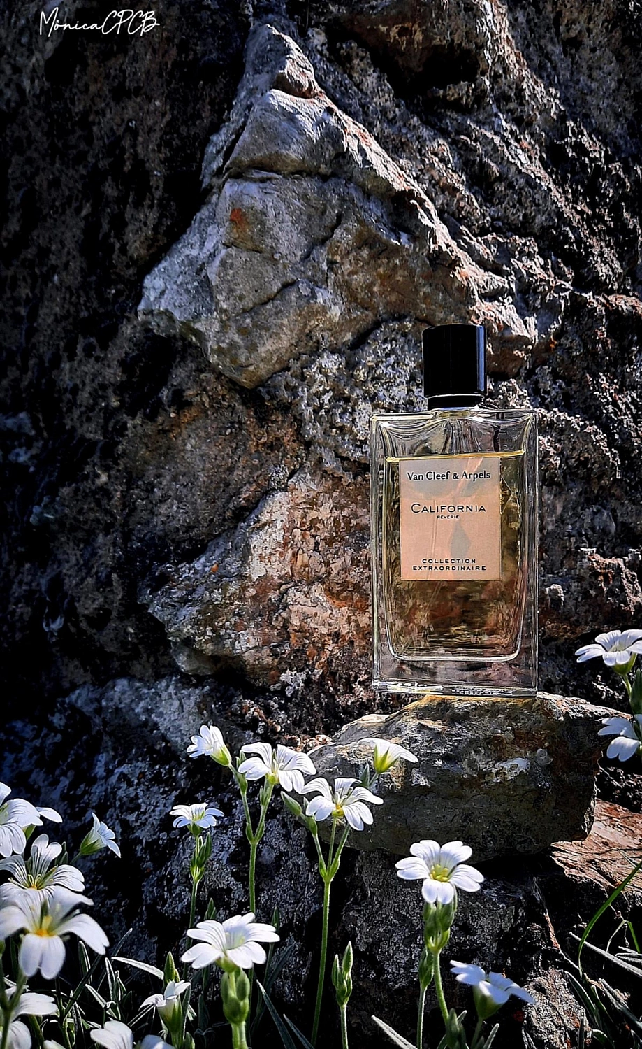 Van Cleef & Arpels Collection Extraordinaire California Reverie