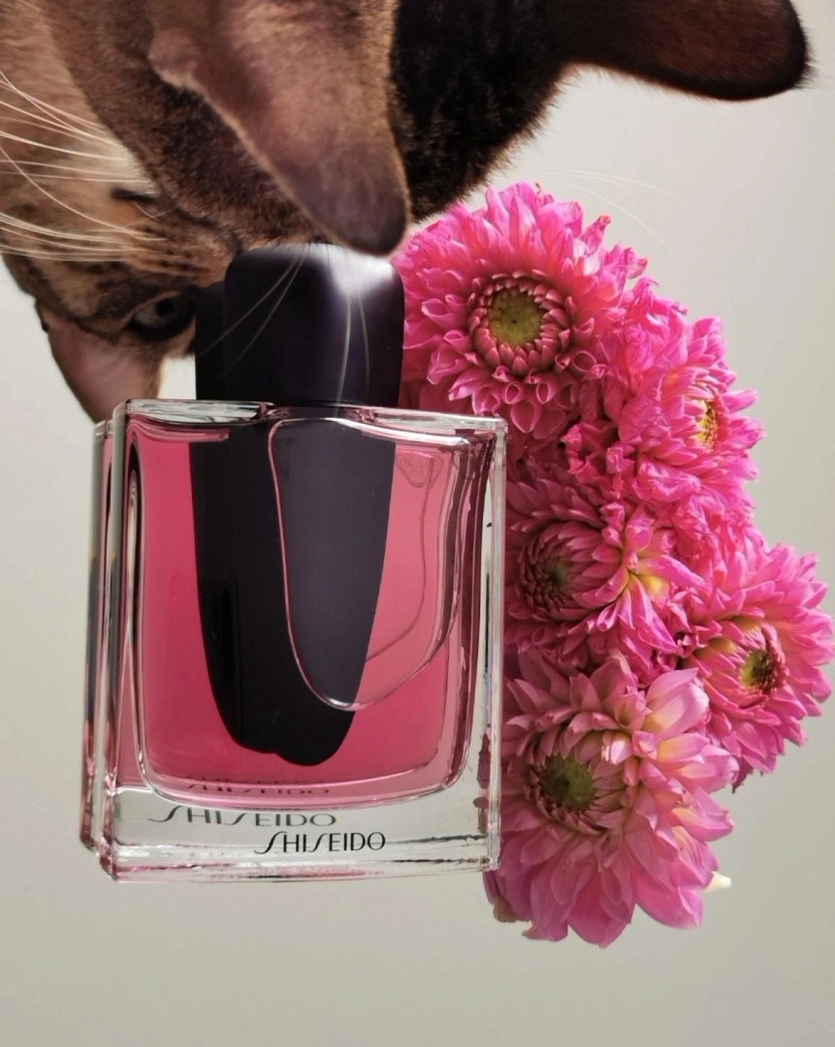 Shiseido Ginza Murasaki