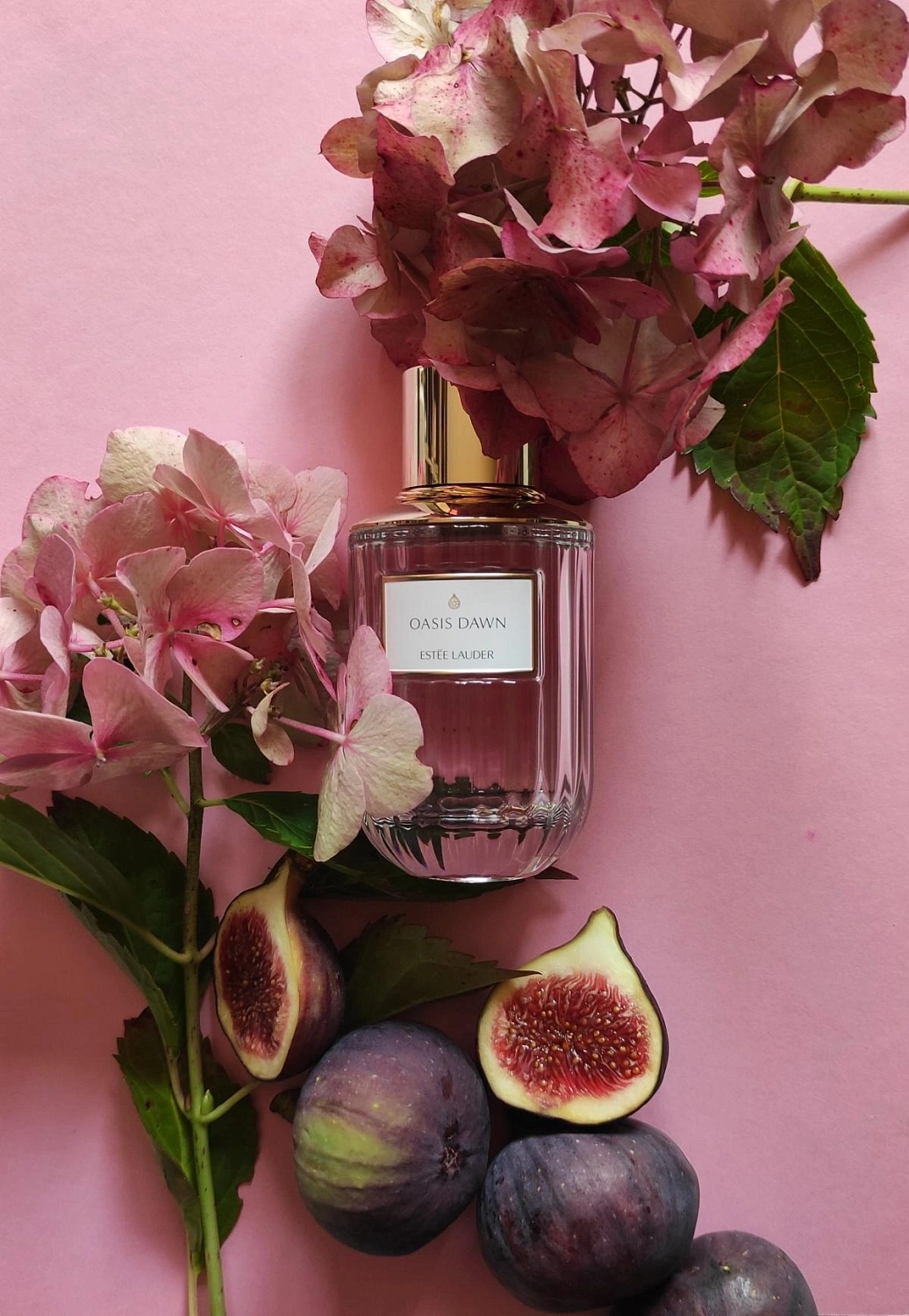 Estée Lauder Oasis Dawn