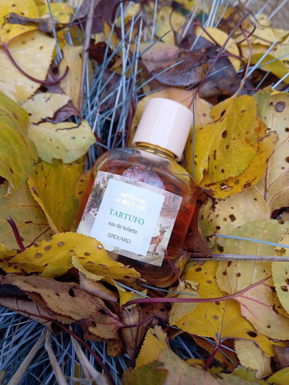 Brocard Nettare Di Felicita Tartufo
