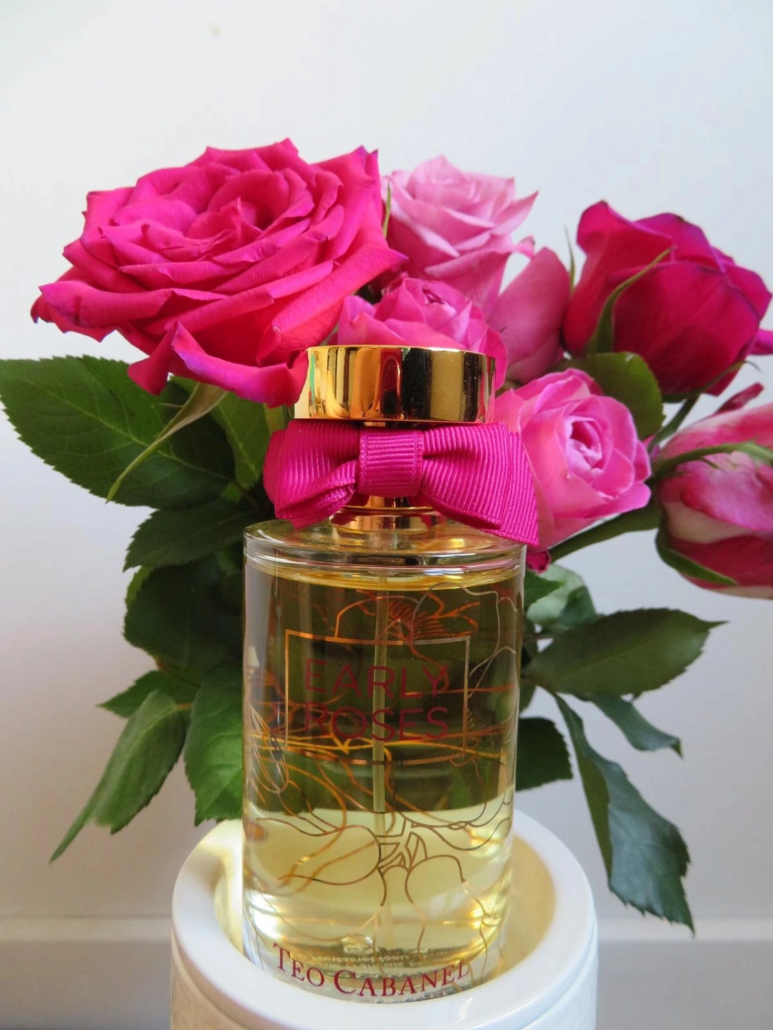 Teo Cabanel Early Roses