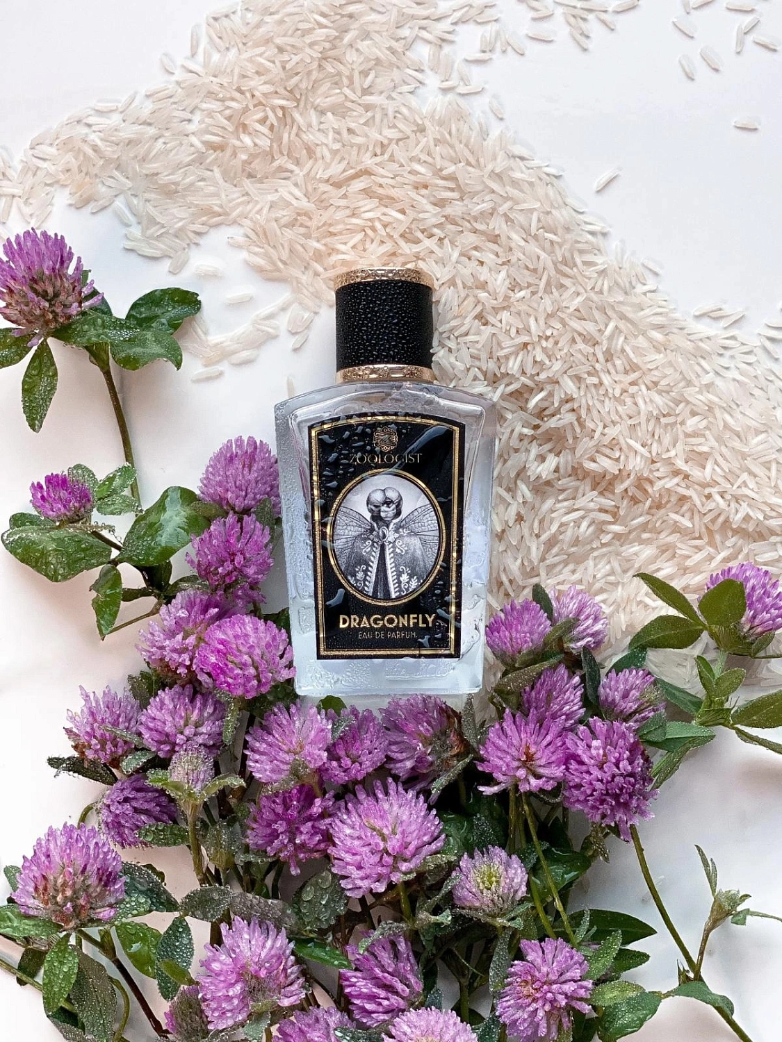 Zoologist Perfumes Dragonfly