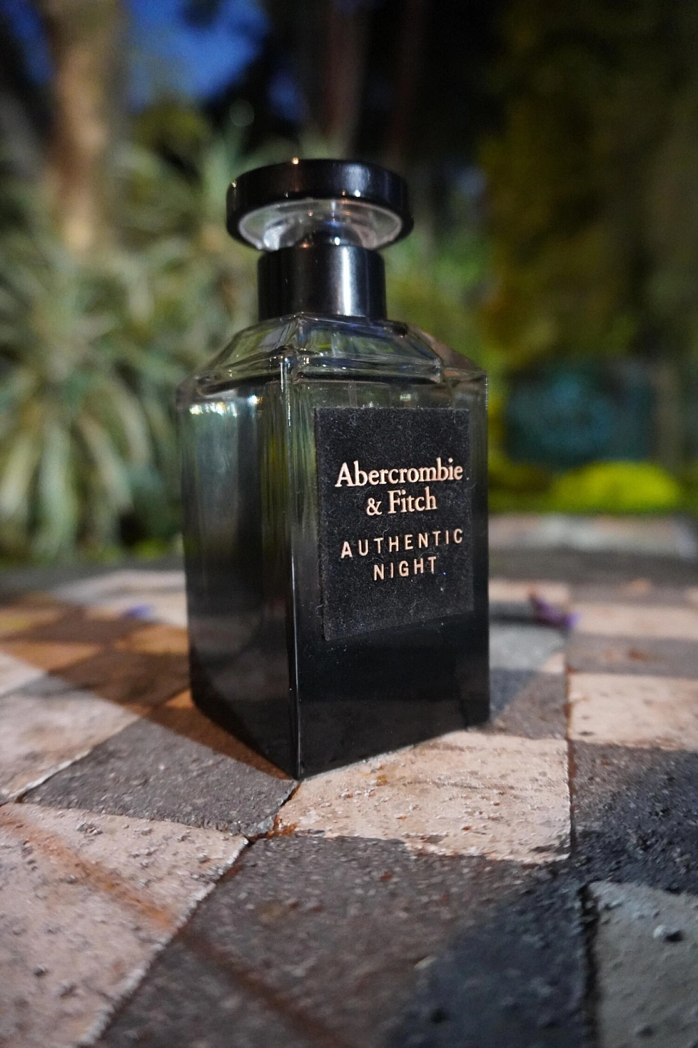 Abercrombie & Fitch Authentic Night Homme