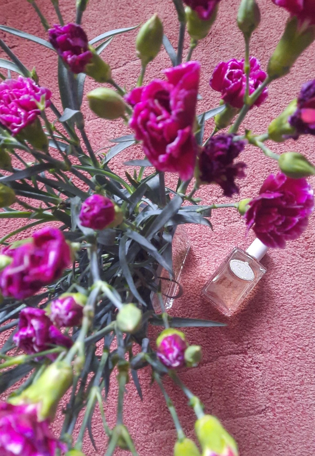 Prada Infusion d'Oeillet