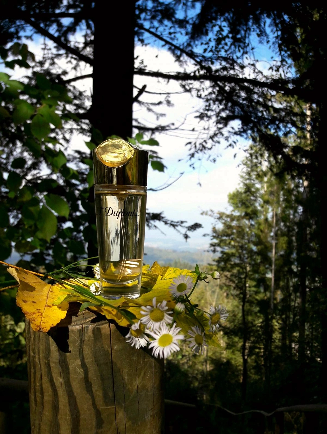 S.T. Dupont pour Femme
