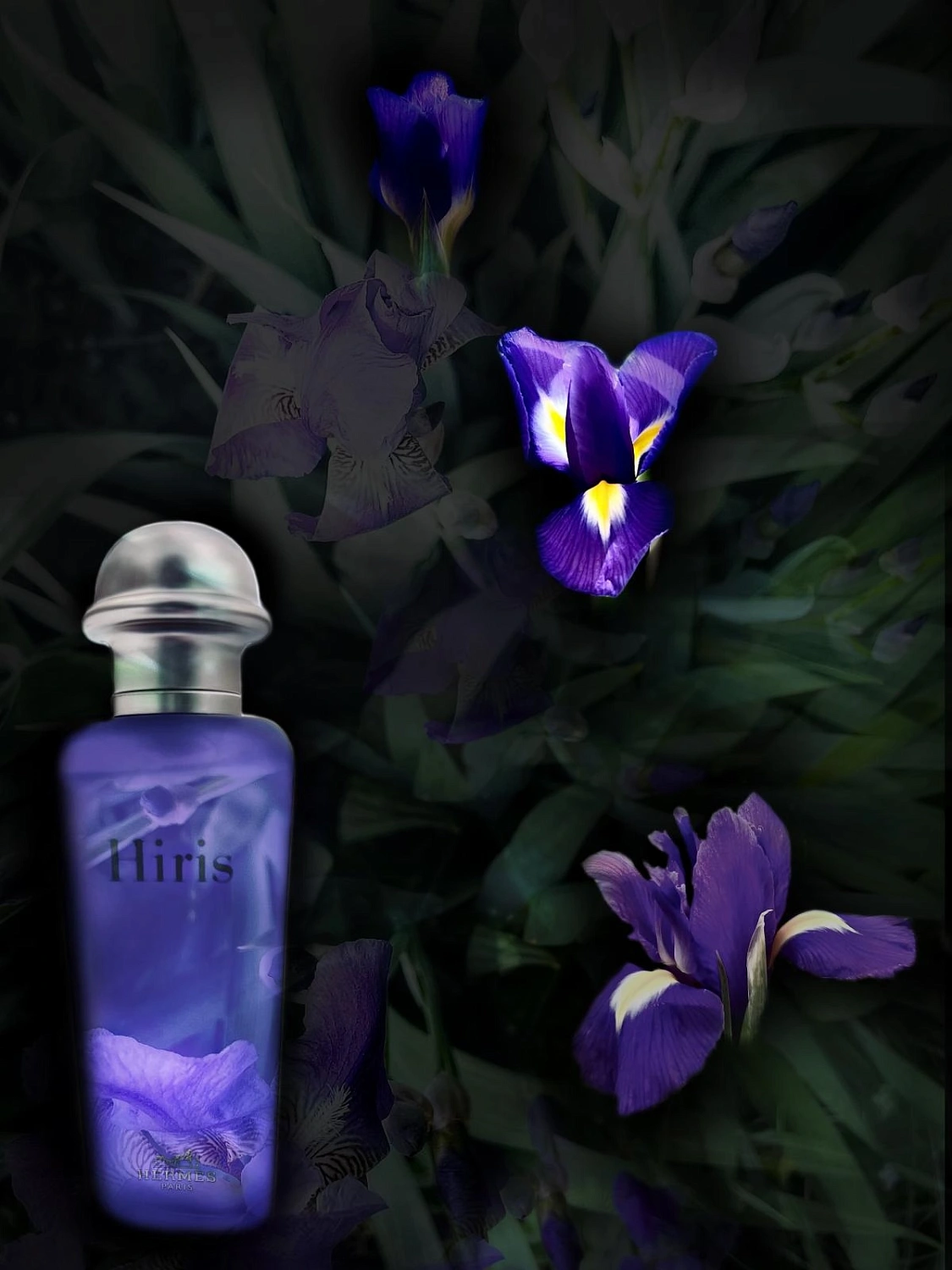 Hermès Hiris