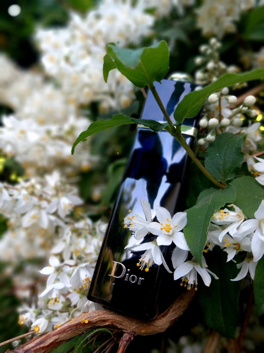 Christian Dior Addict Eau De Parfum 2014