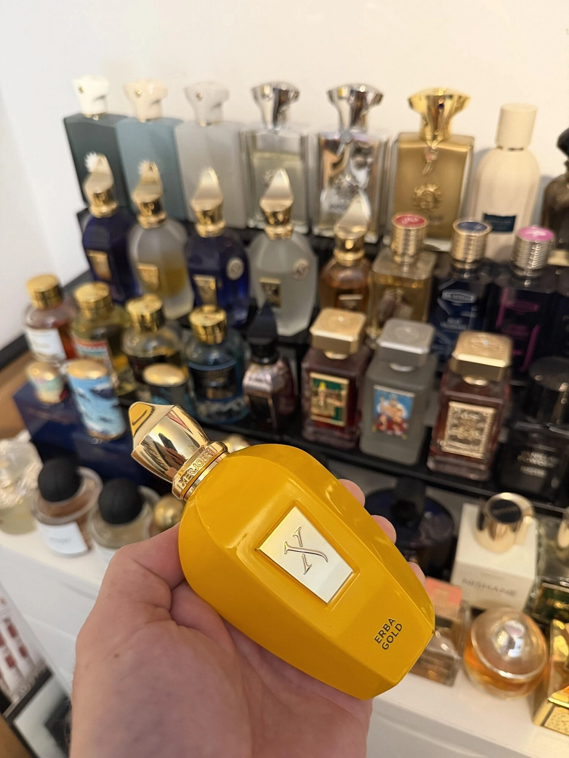Xerjoff Erba Gold