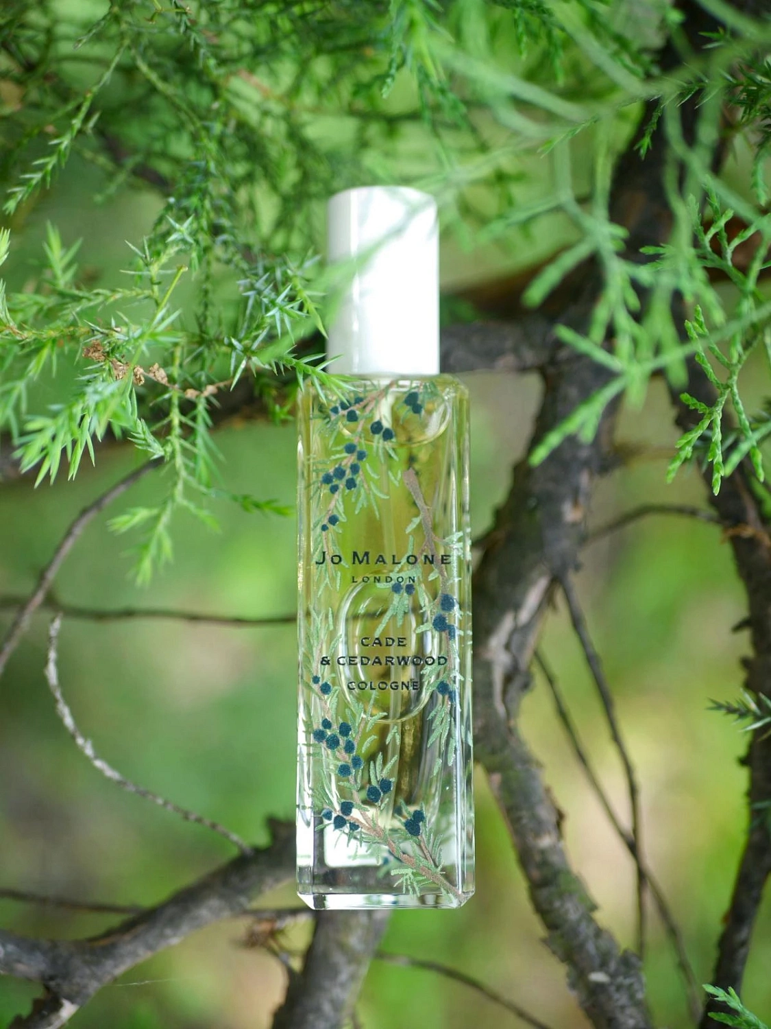 Jo Malone Cade & Cedarwood