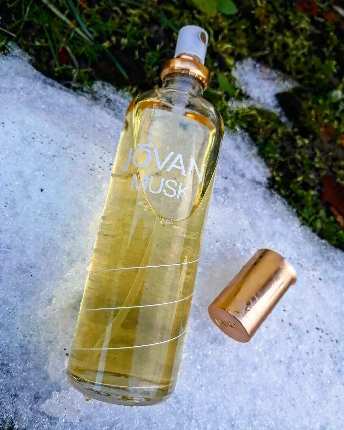 Jovan Musk for Women