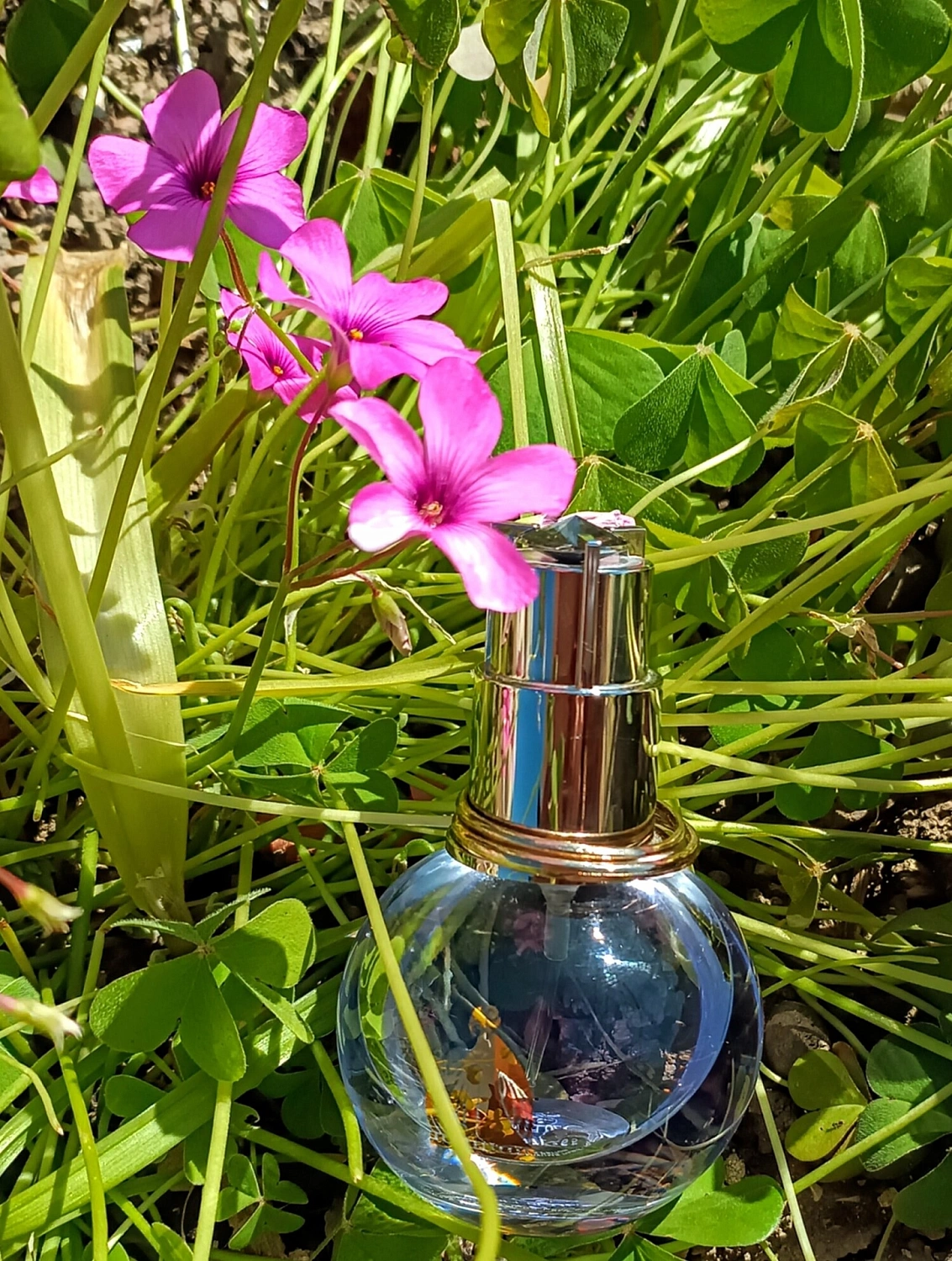 Lanvin Eclat d'Arpege