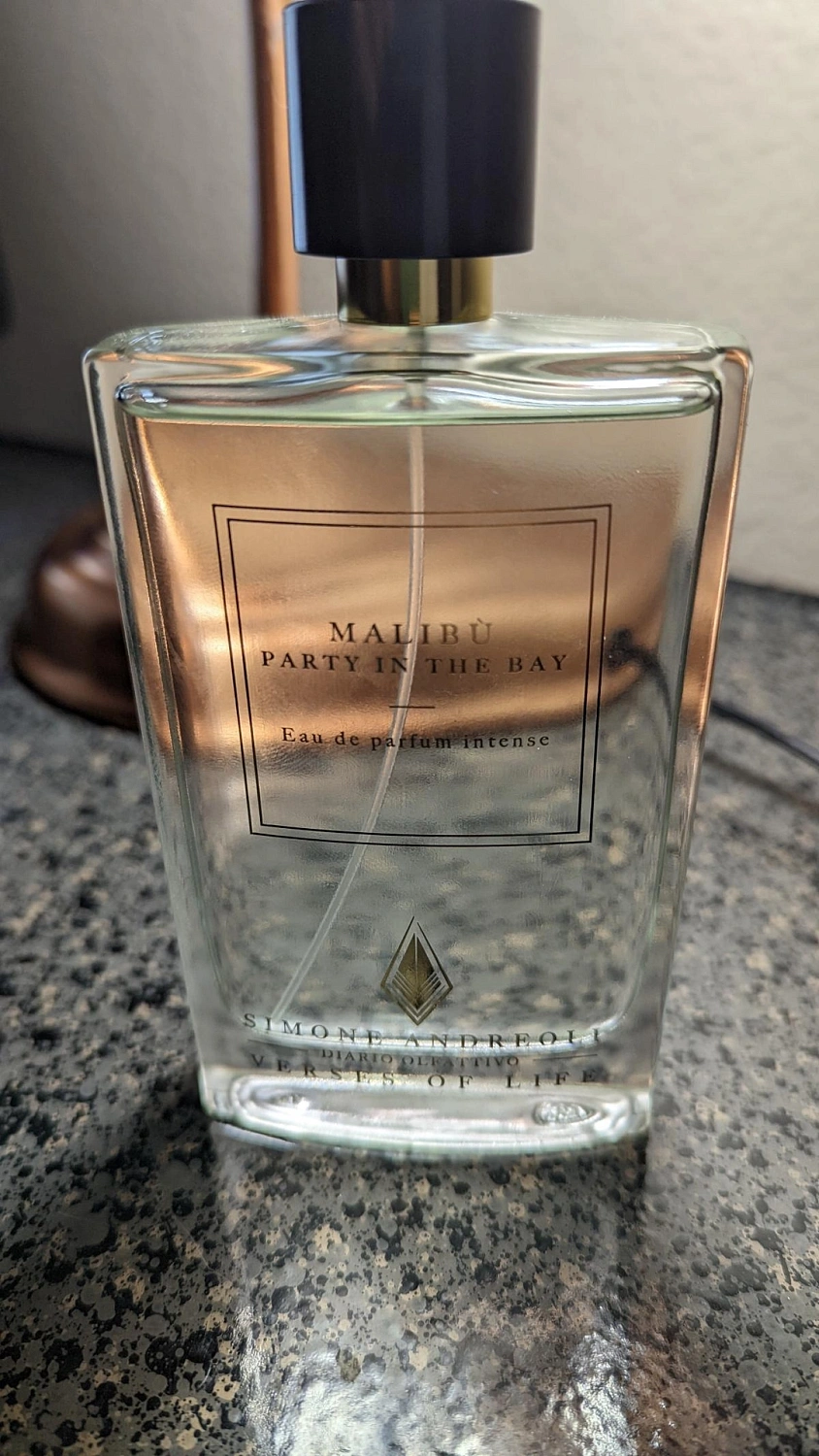 Simone Andreoli Malibu - Party in the Bay
