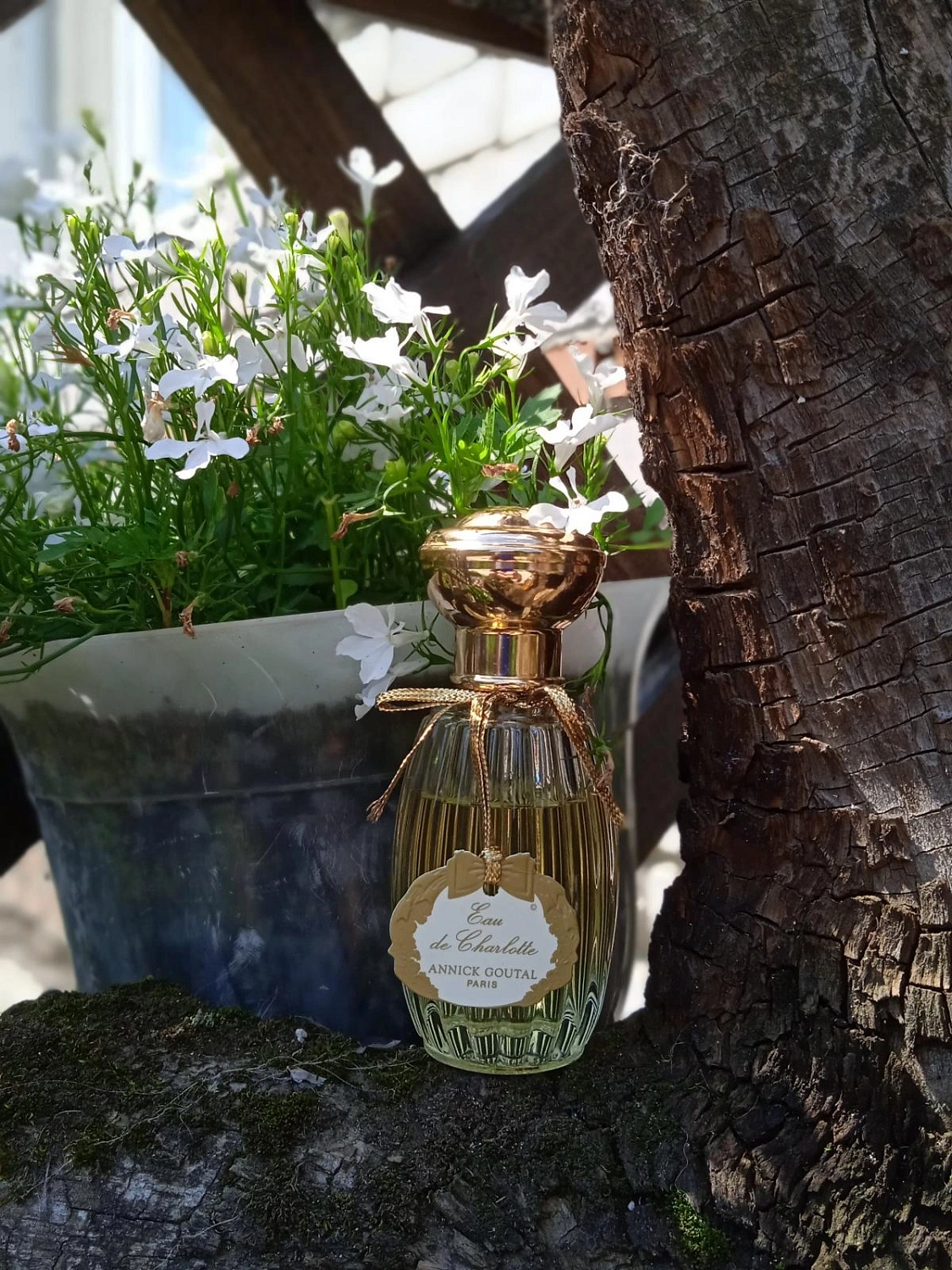 Annick Goutal Eau de Charlotte