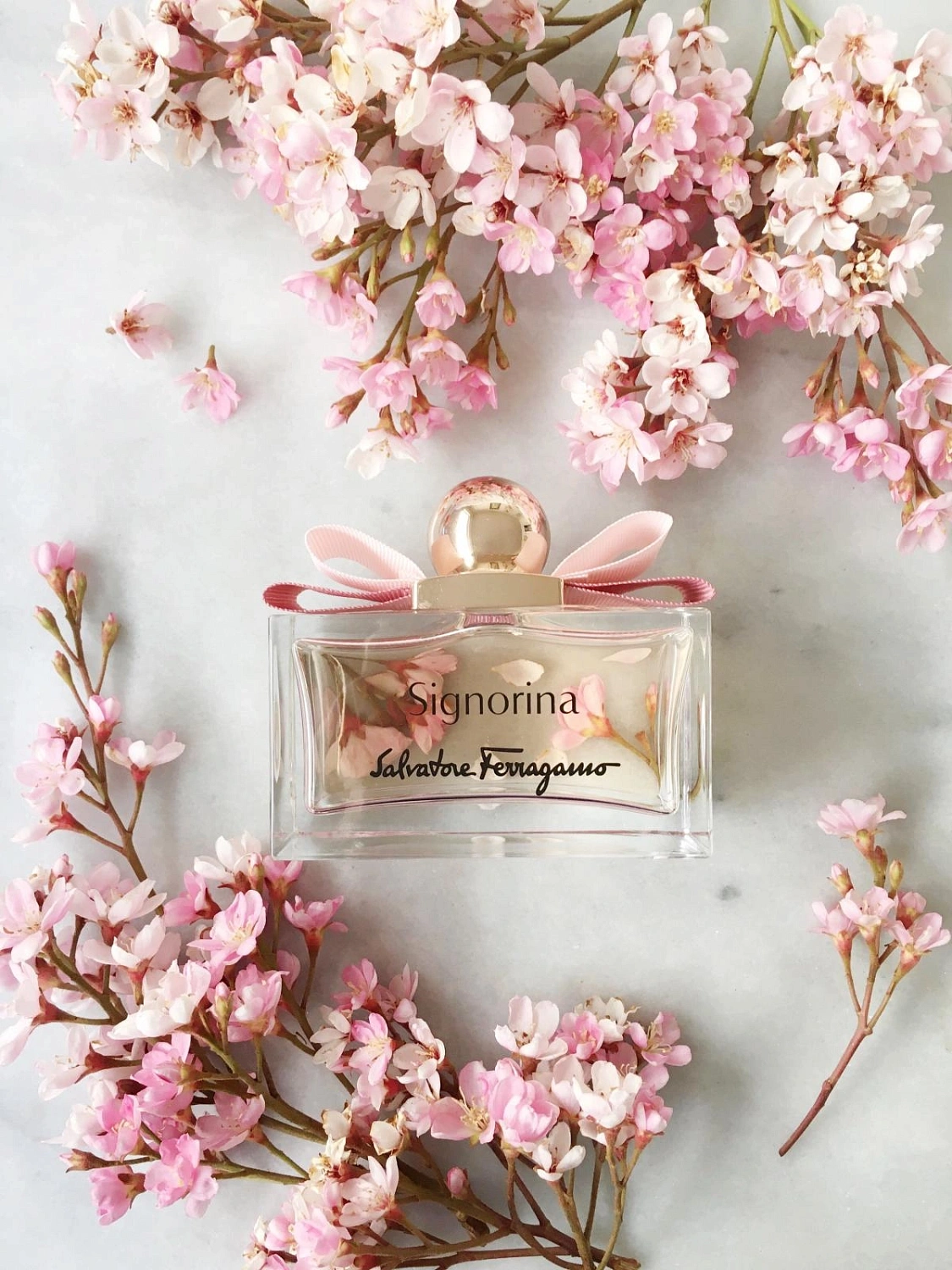 Salvatore Ferragamo Signorina