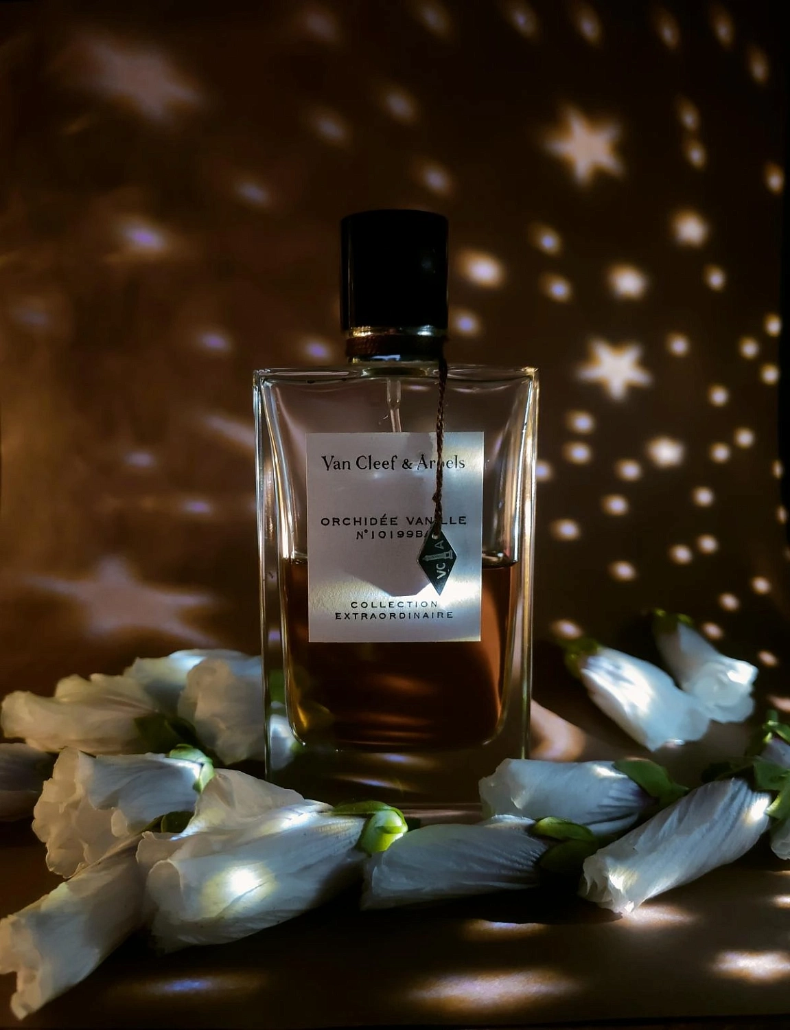 Van Cleef & Arpels Collection Extraordinaire Orchidee Vanille