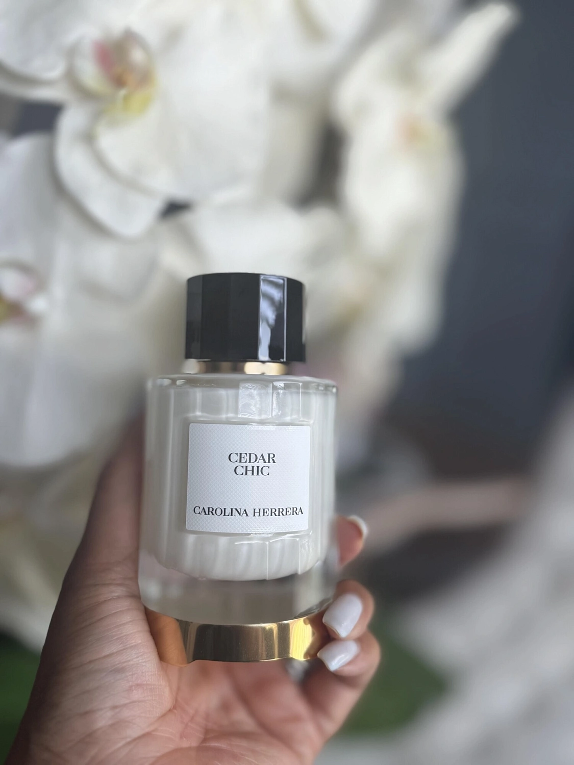 Carolina Herrera Cedar Chic