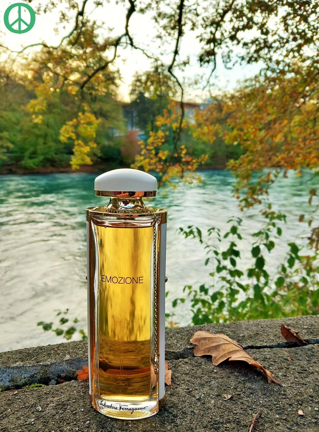 Salvatore Ferragamo Emozione Florale