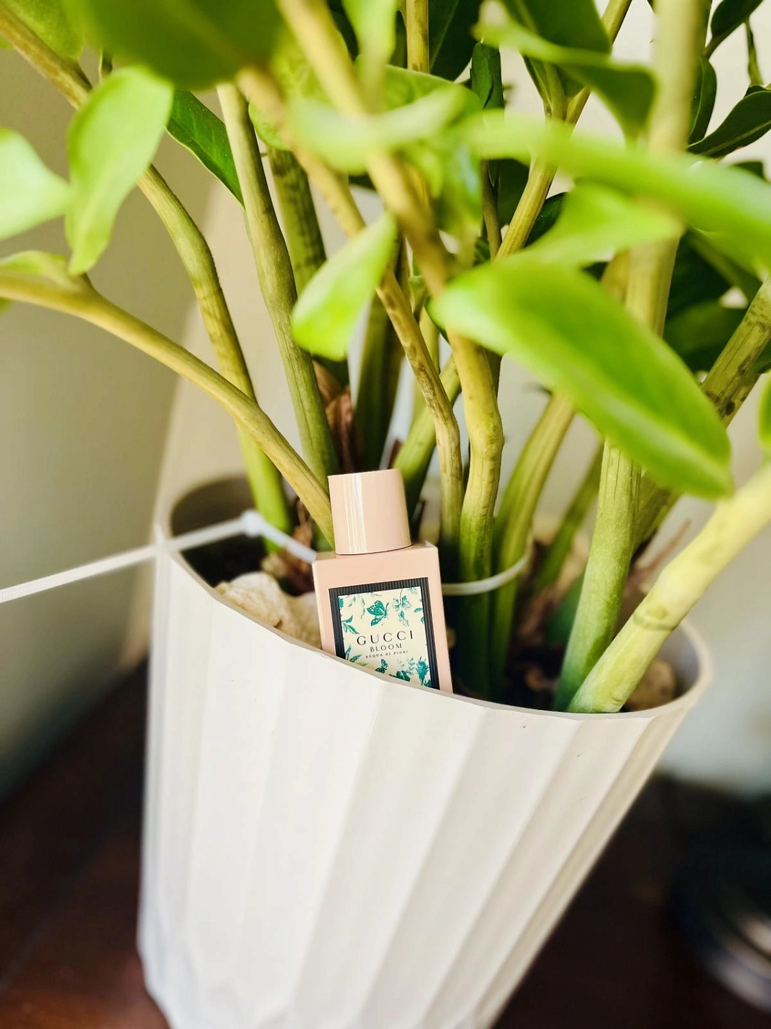 Gucci Bloom Acqua di Fiori
