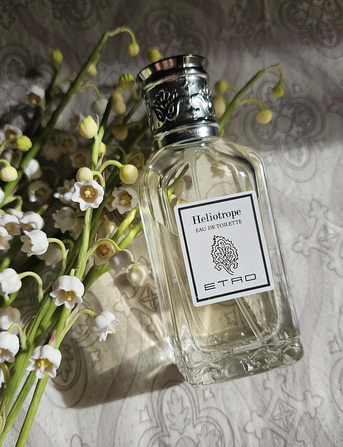 Etro Heliotrope